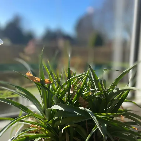 Haus Zwischen Nord- Und Ostsee Garten&spielplatz Feriehus *